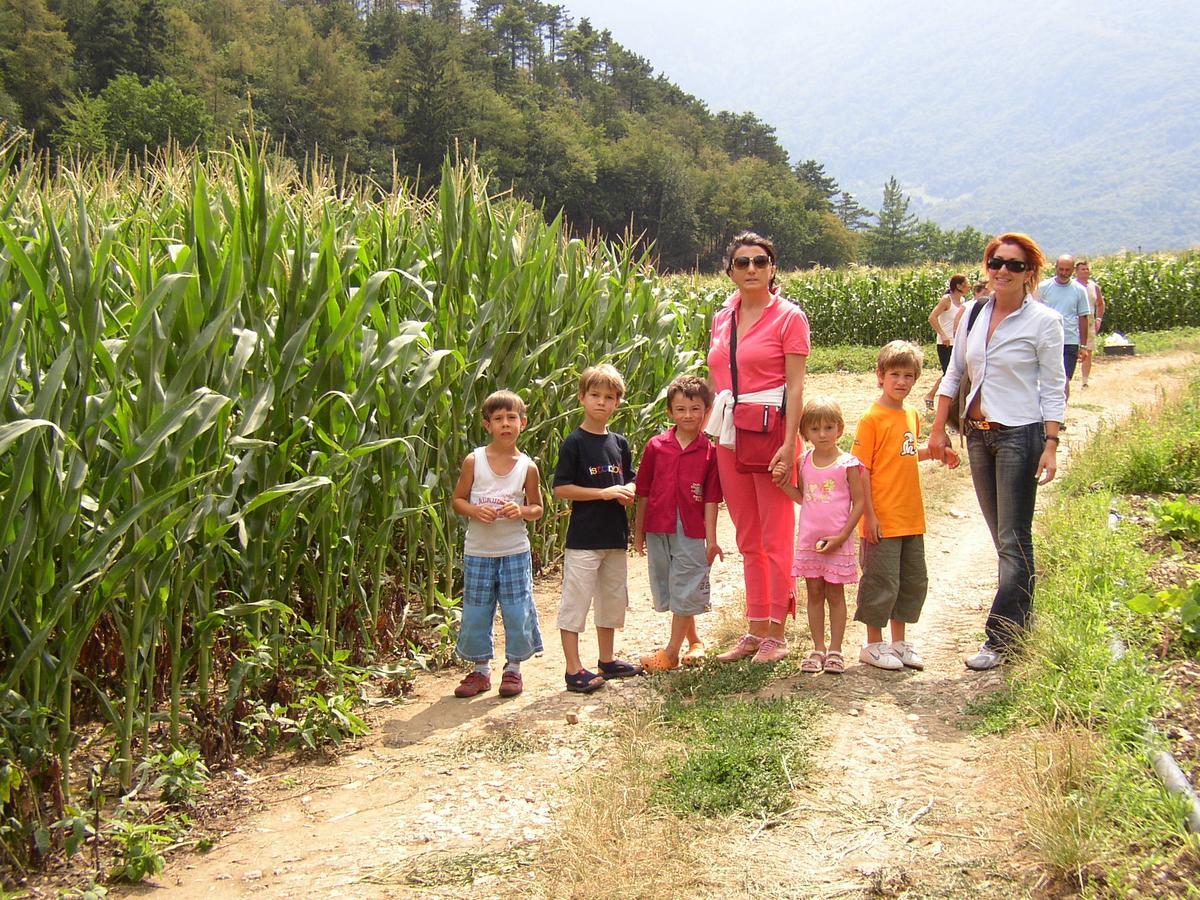 Ca' Dei Boieti Casa Vacanze Ronzo-Chienis 外观 照片